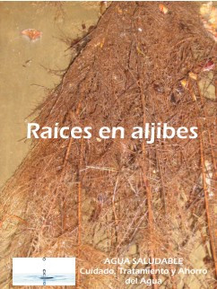 Lavado de cisternas rotoplas con raices