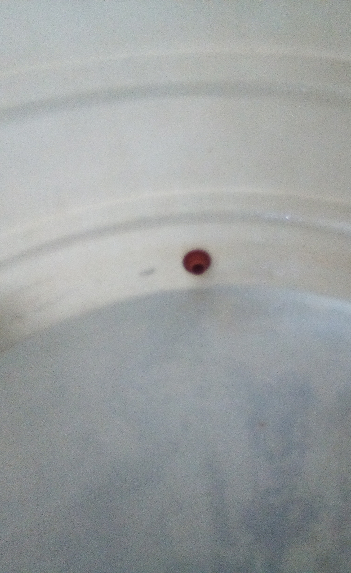 Lavado de cisternas rotoplas