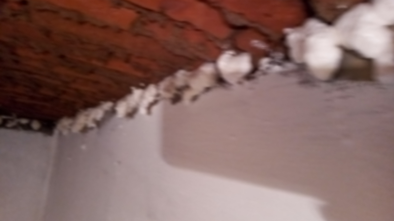 Sellado de fugas  de agua en cisternas 